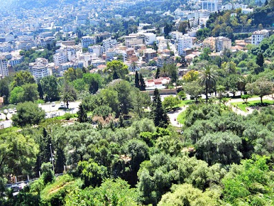 اخبار عن  Tunis Garden